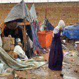 الهجرة الدولية تعلن نزوح 420 شخصًا خلال أسبوع بفعل الكوارث الطبيعية وتدهور الأوضاع الإنسانية