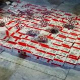 العمالقة الجنوبية تضبط كمية كبيرة من المخدرات في باب المندب