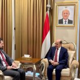 وزير الخارجية يبحث مع القائم بأعمال السفارة الأمريكية دعم جهود الحكومة في مواجهة التحديات الراهنة