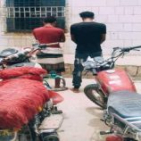 الأمن يطيح بشبكة لسرقة الدراجات النارية في عتق