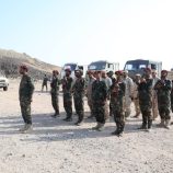 e173bd33-a661-4497-91da-80289ae8774b