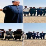 شبوة.. تنفيذ حكم القصاص الشرعي بحق مدانَين بجريمتي قتل