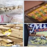 رفض وإتلاف كميات كبيرة من الدجاج المجمد الفاسد في العاصمة عدن