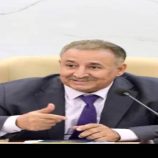 الربيزي: سينهزم القابعين في الزوايا المظلمة ولن تنطفئ فرحة الجنوب