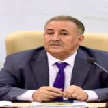 الربيزي: قرارات الرئيس الزُبيدي تعيد التوازن لمجلس القيادة الرئاسي