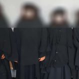 أمن العاصمة عدن يضبط عصابة نسائية متخصصة في النشل والسرقة