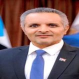 اليافعي: الصيغة الحالية لمجلس القيادة الرئاسي لم تحقق المستوى المطلوب من التوافق والفاعلية