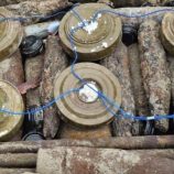 مسام يتلف أكثر من 6 آلاف مادة متفجرة في أبين