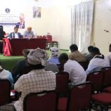 انتقالي سقطرى ينظم ورشة عمل لتعزيز الشفافية وتحسين جودة الخدمات