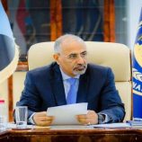 الرئيس الزبيدي.. من التفويض الشعبي إلى منصات الشعوب