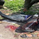 مقتل المتهم الرئيس في اغتيال افتهان المشهري وضبط شركائه