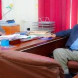 محافظ شبوة يطلق برنامج تشجيع زراعة القمح في 8 مديريات