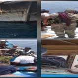 عاجل.. قوات الحزام الأمني وخفر السواحل تحبطان عملية تهريب سفينة محملة باليوريا قبالة سواحل أبين