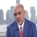 الرئيس الزُبيدي: نتطلع لرفع علم الجنوب في الأمم المتحدة