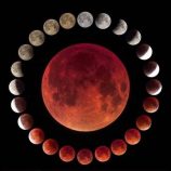 ad0cead4-3872-45c1-b415-40387cd2986d