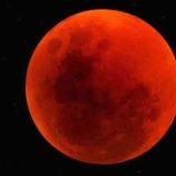 e7288359-bf0a-459b-8653-c08f1fa8c22a