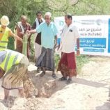 بدعم سعودي.. توزيع شتلات زراعية لتعزيز الاستدامة في مديرية ساه