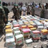 إتلاف أكثر من طن من المخدرات المضبوطة في سواحل #لحج بإشراف النيابة الجزائية