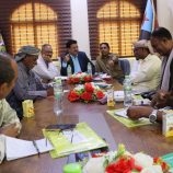 تنفيذية انتقالي سقطرى تعقد اجتماعًا استثنائيًا للتحضير للاحتفال بالذكرى الـ62 لثورة 14 أكتوبر