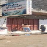 وزارة الصناعة تشن حملة لإغلاق محلات الأسماك المخالفة في المعلا