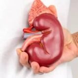 دراسة تثبت فعالية دواء للإمساك فى علاج مرض الكلى المزمن