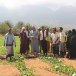 محافظ سقطرى يطلع على مشروع زراعي لدعم المرأة الريفية والأمن الغذائي