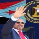 كلما اشتدت الأزمات ازداد الانتقالي صعودًا وثبات