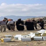 عدن.. اتلاف أكثر من 18 طنًا من الجبن وصلصة الطماطم غير الصالحة للاستهلاك الآدمي