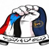 الانتقالي الضمانة الوطنية لحماية قضية الجنوب