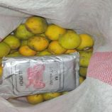 إحباط عملية ترويج وتضبط كيلو من مادة الحشيش في ساحل حضرموت