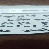 الملاريا تحصد حياة شابة في أزارق الضالع ومطالبات بتدخل صحي عاجل