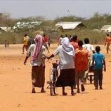 خفر سواحل حضرموت يحبط محاولة تهريب حشيش