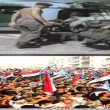 نوفمبر المجيد… من فجر الاستقلال الأول إلى مسار استعادة دولة الجنوب