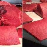 أسعار الأسماك اليوم الخميس فى العاصمة عدن 27 نوفمبر 2025م