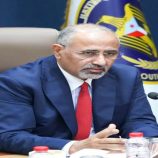 الرئيس الزُبيدي يوجه بتنفيذ حوار جنوبي شامل .. تمهيد لمرحلة الحسم السياسي