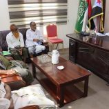 باتيس يلتقي رئيس تنفيذية انتقالي الديس الشرقية