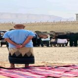 النيابة العامة في لحج تنفذ حكم القصاص بحق المدان محمد قائد العوبلي