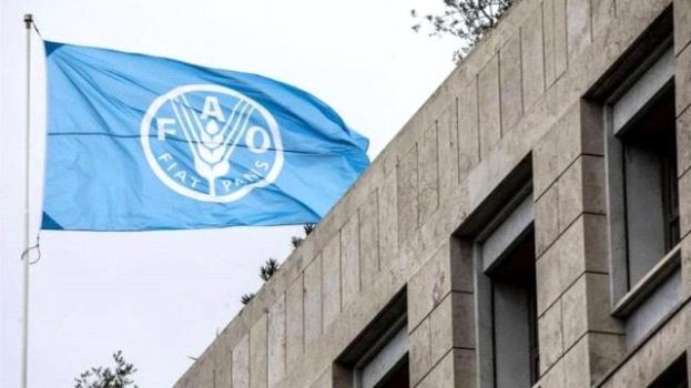 الفاو تطلب تمويلاً بقيمة 86 مليون دولار لمواجهة الأزمة الغذائية في اليمن