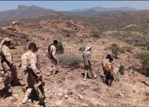 القوات المسلحة الجنوبية تُحبط محاولة تسلل حوثية في كرش