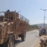 سياسيون يطلقون وسم #تحرير_وادي_حضرموت