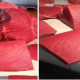 أسعار الأسماك صباح اليوم الجمعة 5 ديسمبر بالعاصمة عدن