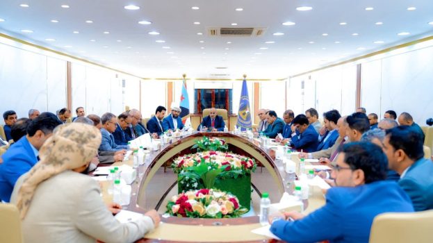 القيادة التنفيذية العليا تشيد بجهود تطبيع الأوضاع بوادي حضرموت والمهرة