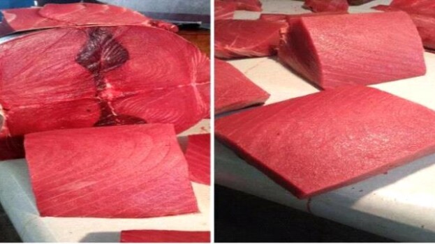 أسعار الأسماك صباح اليوم الجمعة 26 ديسمبر 2025م بالعاصمة عدن