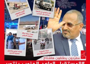 سياسيون يطلقون وسم #المستقبل_الواعد_الجنوب_ينتصر ويشيدون بانتصارات القوات المسلحة الجنوبية العربية