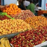 النشرة اليومية لأسعار الأسماك والدواجن في الأسواق المحلية بوادي حضرموت