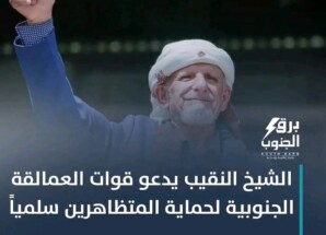 تحذير من الفتنة ودعوة للاصطفاف الجنوبي: نداء مسؤول لقوات العمالقة وأبناء الجنوب لحماية القضية والمؤسسات