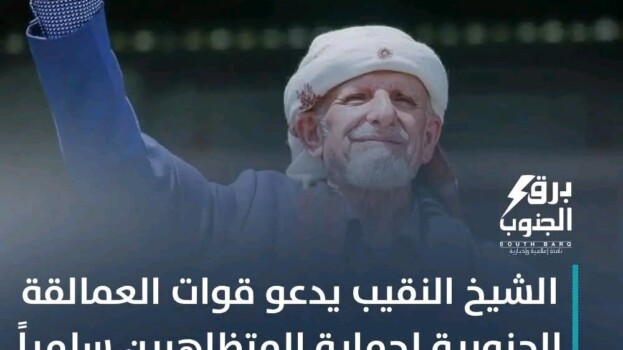 تحذير من الفتنة ودعوة للاصطفاف الجنوبي: نداء مسؤول لقوات العمالقة وأبناء الجنوب لحماية القضية والمؤسسات