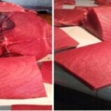 أسعار الأسماك الطازجة المتداولة في مدينة سيؤون حسب محلات الطوعري للأسماك لهذا اليوم الخميس 08 يناير 2026م