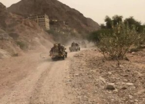 تنظيم القاعدة يعيد سيطرته على وادي المسيني غرب المكلا