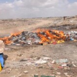 حملة رقابية بالمنصورة تضبط مواد منتهية الصلاحية وتتوعد المخالفين بالإجراءات القانونية